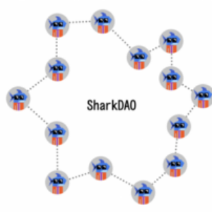 Profile photo of dao
